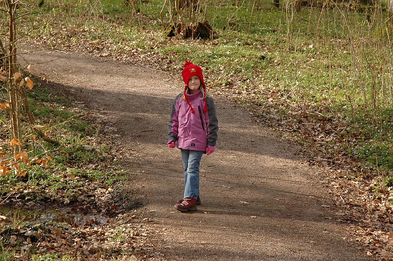 DSC_9022.JPG - Promenad i Bokskogen